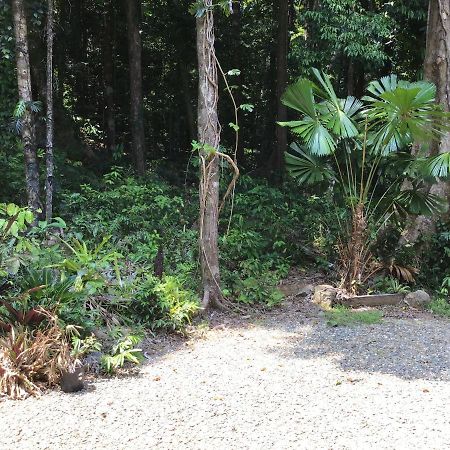 Forest Views Diwan Экстерьер фото