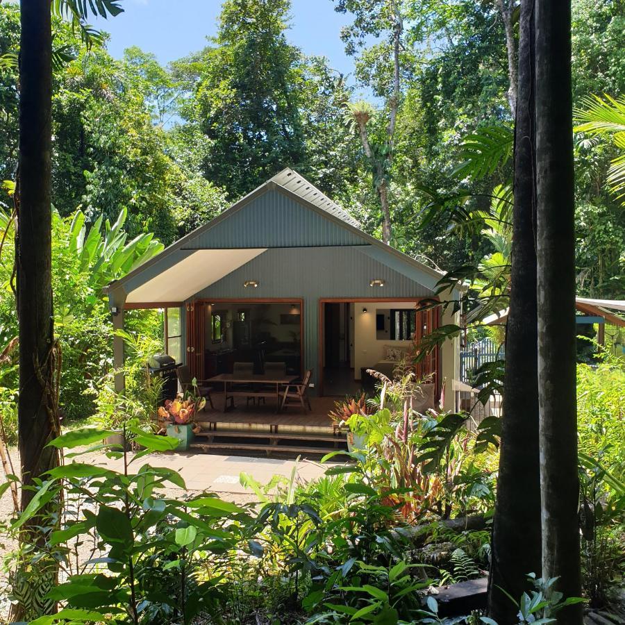Forest Views Diwan Экстерьер фото